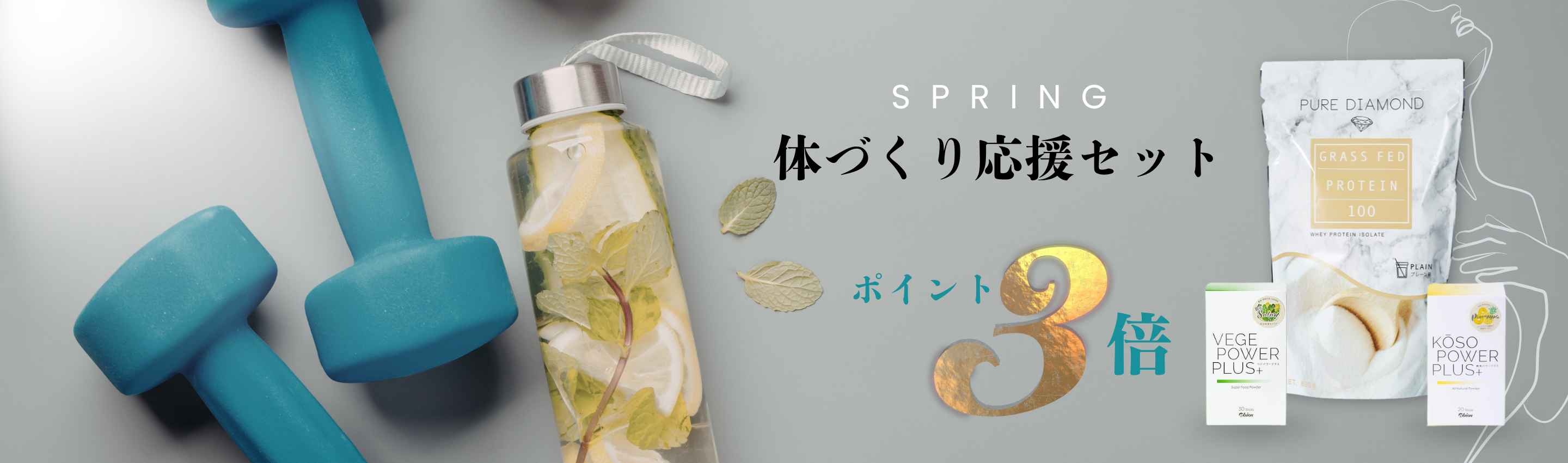 プロテインセット