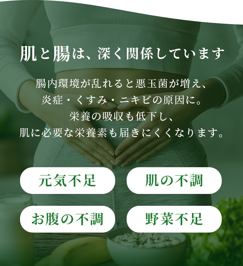 肌と腸は、深く関係しています　腸内環境が乱れると悪玉菌が増え、炎症・くすみ・ニキビの原因に。栄養の吸収も低下し、肌に必要な栄養素も届きにくくなります。 元気不足 肌の不調 お腹の不調 野菜不足