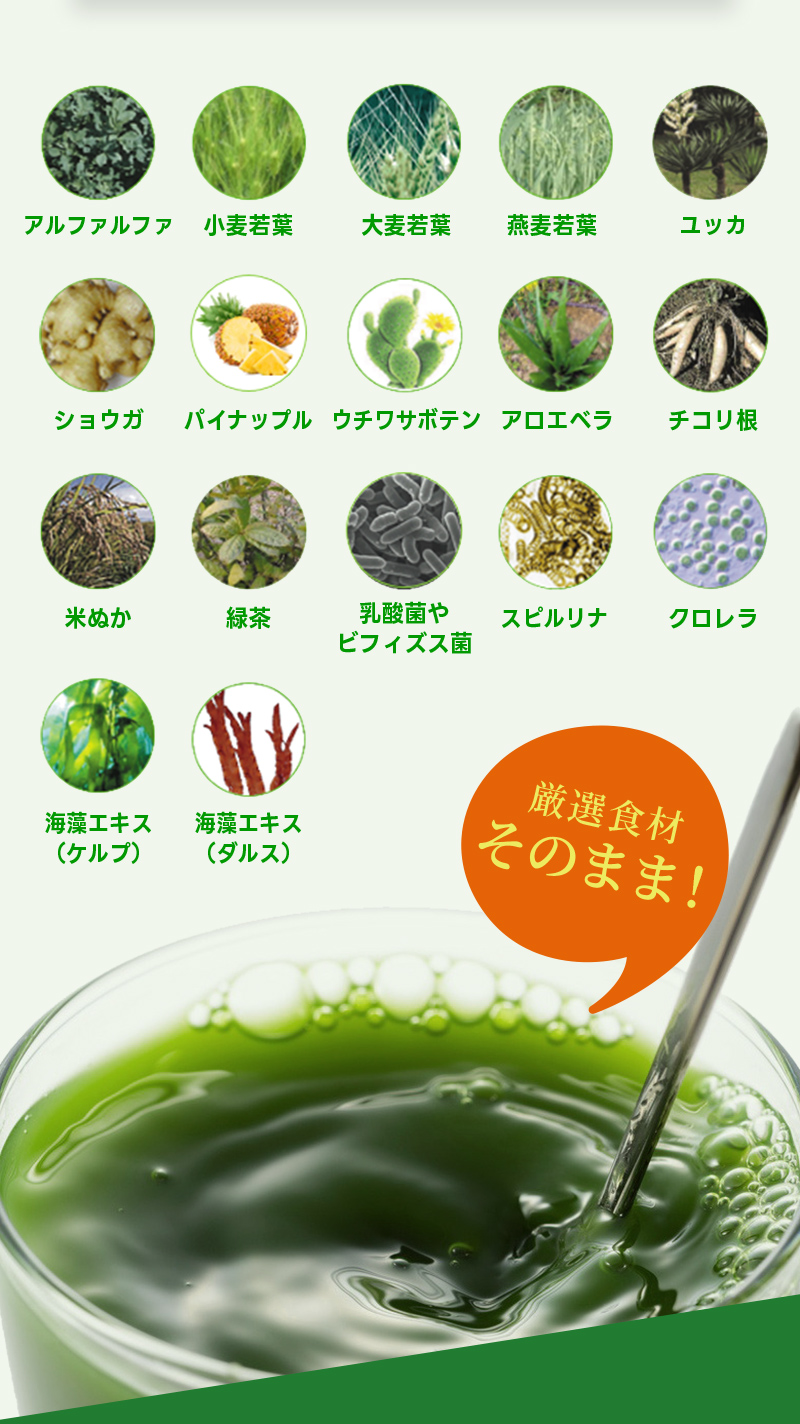アルファルファ 小麦若葉 大麦若葉 燕麦若葉 ユッカ ショウガ パイナップル ウチワサボテン アロエベラ チコリ根 米ぬか 緑茶 乳酸菌やビフィズス菌 スピルリナ クロレラ 海藻エキス（ケルプ） 海藻エキス（ダルス）　厳選食材そのまま！